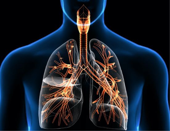 What&rsquo;s the Difference Between a Respirator and Ventilator?