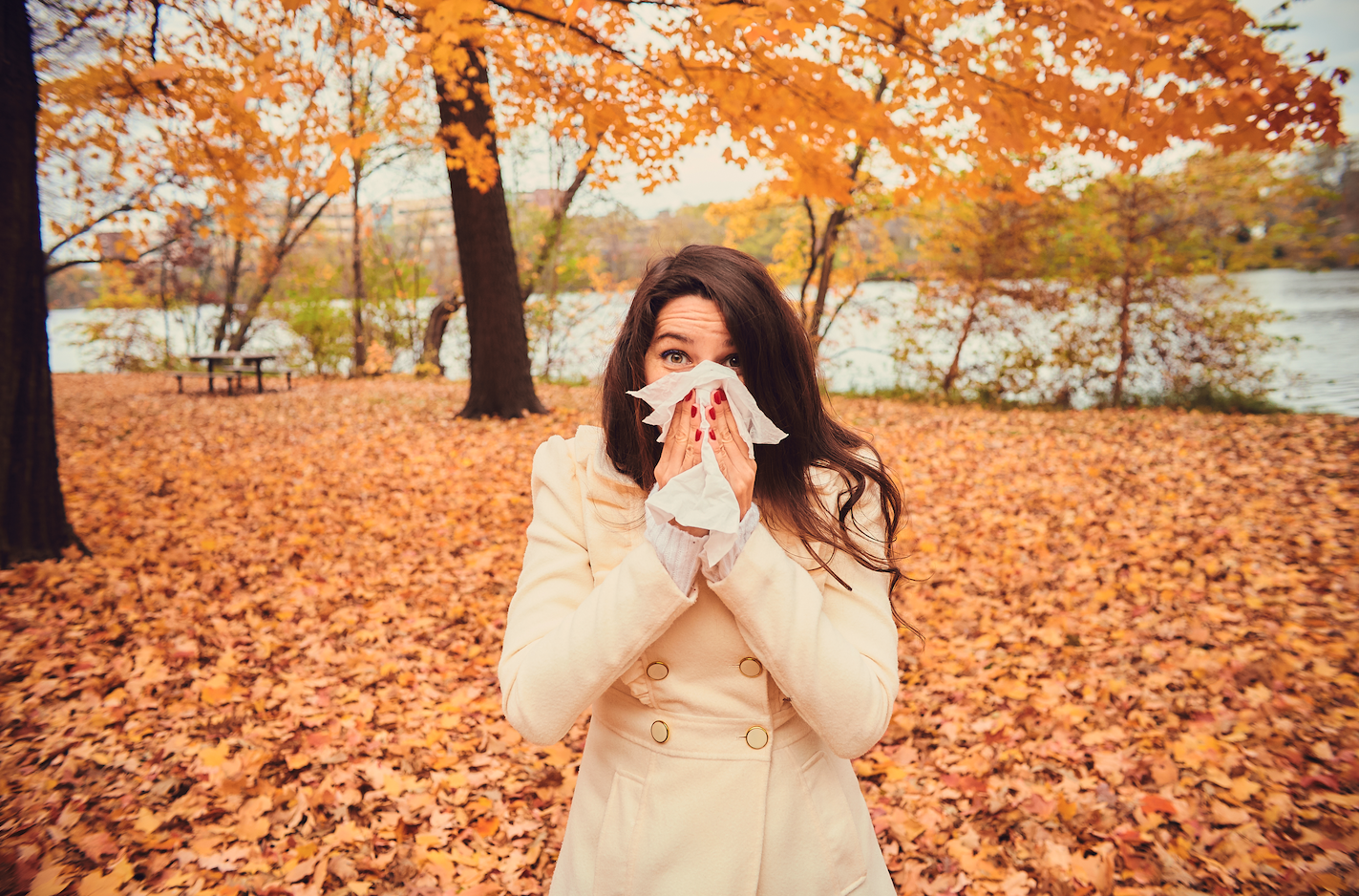 sinus surgery englewood